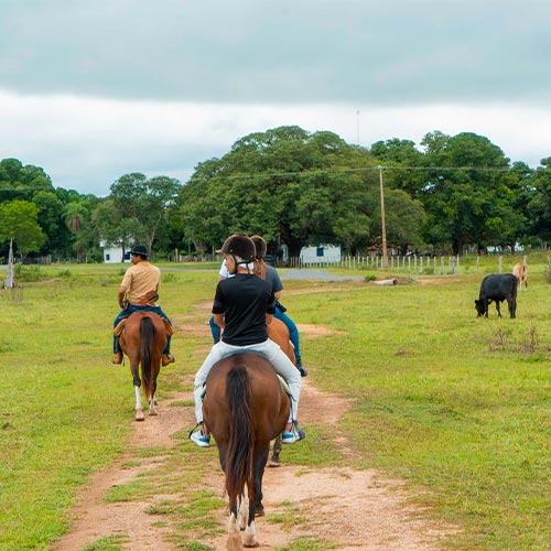 People ride horses on a farm in the Pantanal