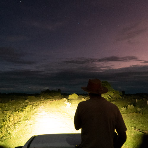 Man with his back at sunset during Pantanal Night Focus tour