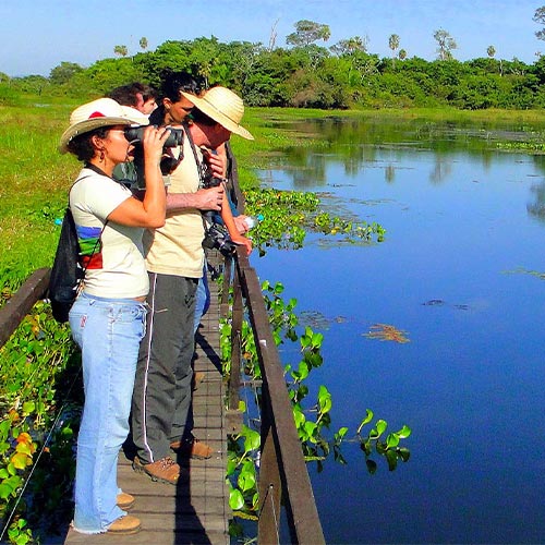 People hike in Pantanal